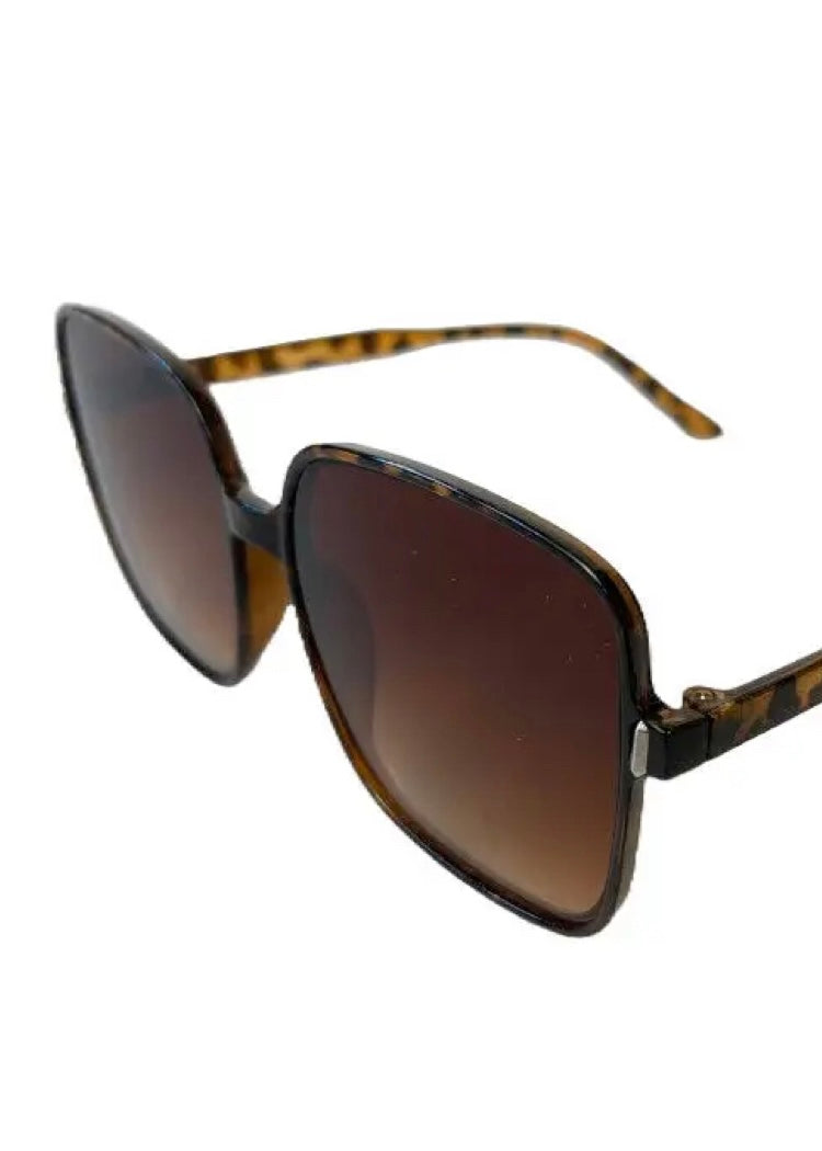 Sunglasses - Modena - Leopard