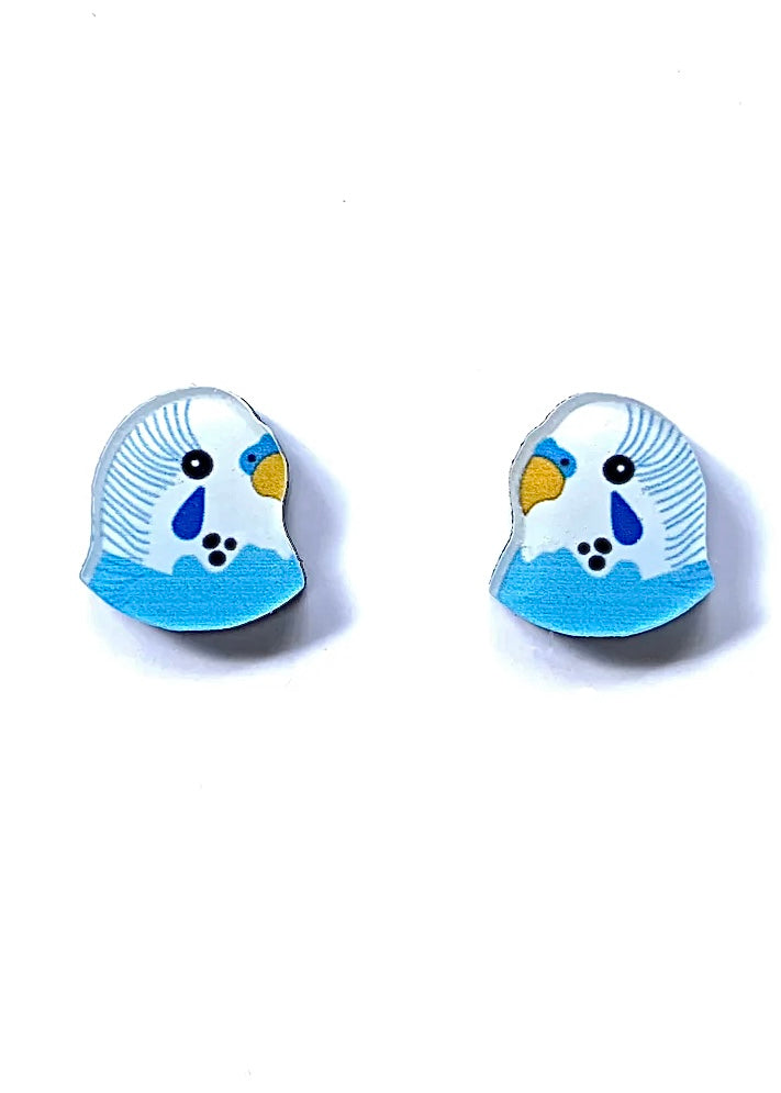 Blue Budgie Studs