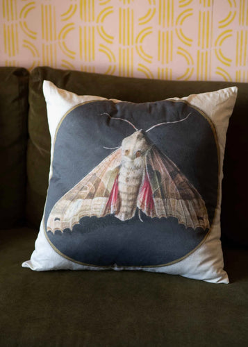 Moth Cushion