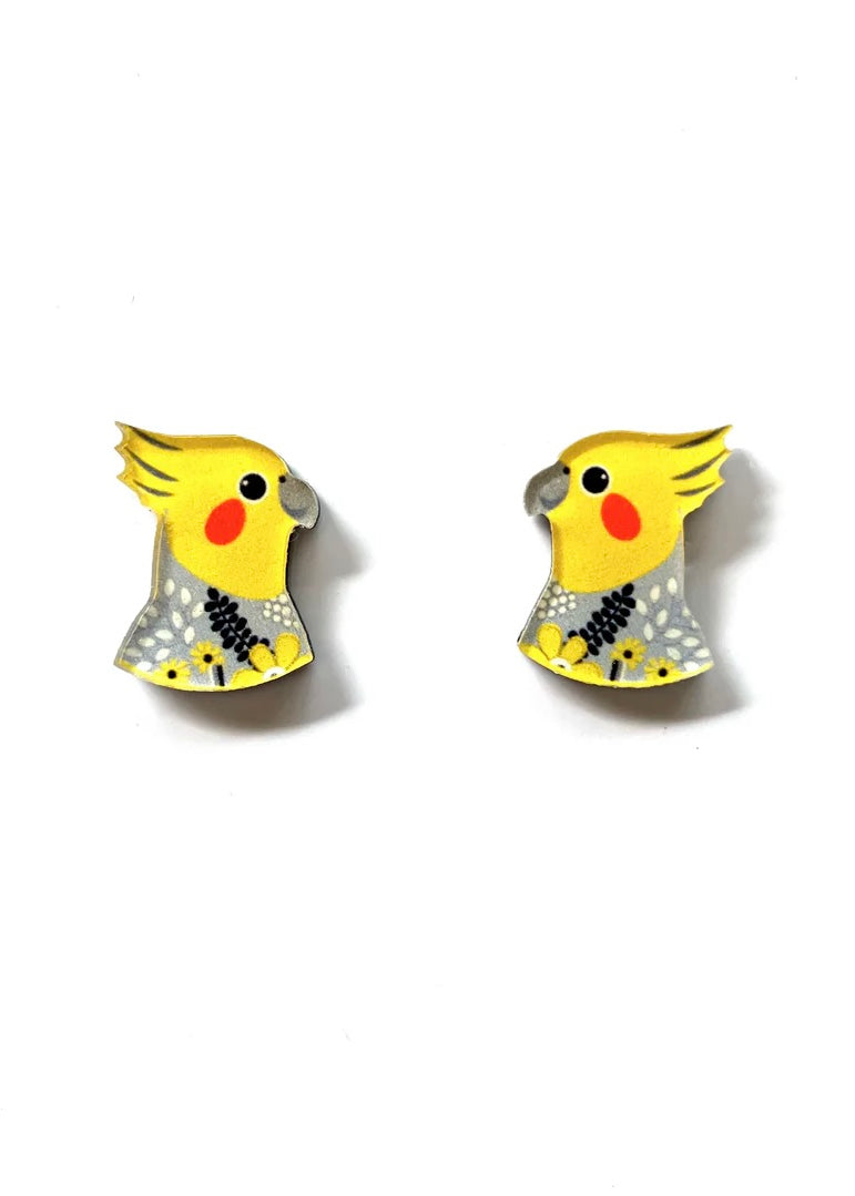 Cockatiel Studs